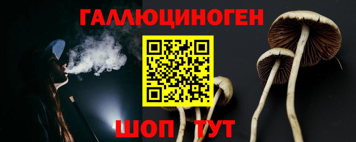 Псилоцибиновые грибы Psilocybine cubensis  Псилоцибиновые грибы Psilocybe  Долгопрудный  Вход с VPN 