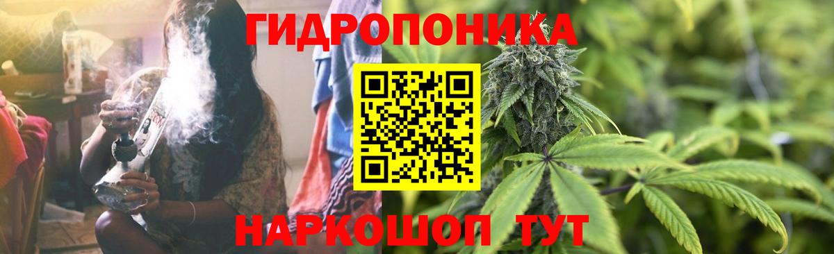 Бошки Шишки Amnesia Долгопрудный